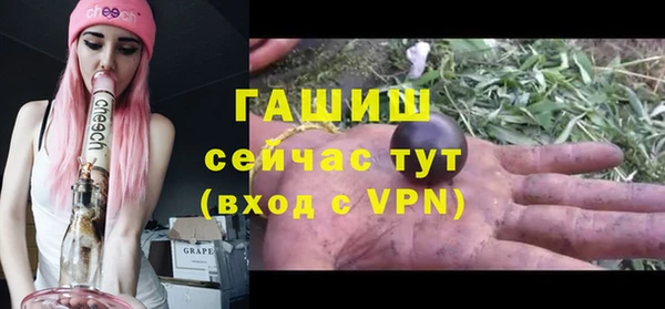 спиды Бородино