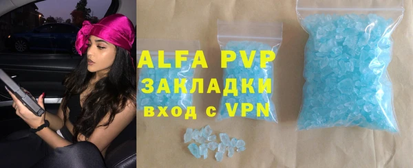спиды Бородино