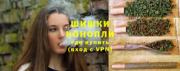 спиды Бородино