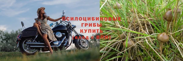 не бодяженный Бронницы