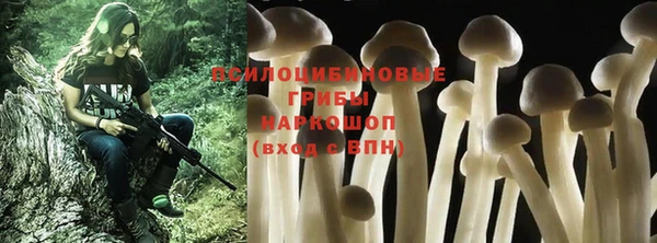 мдпв Бугульма